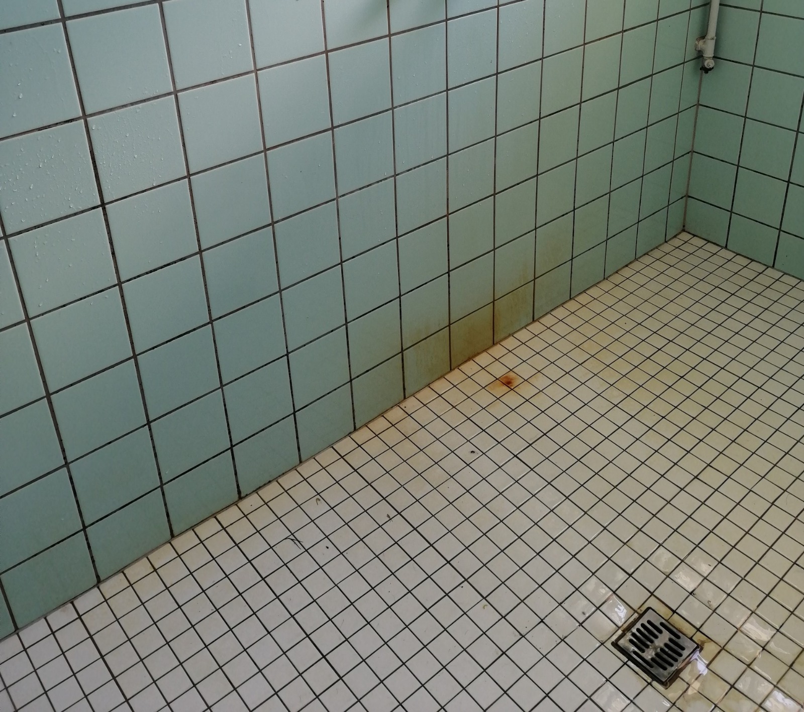 Before